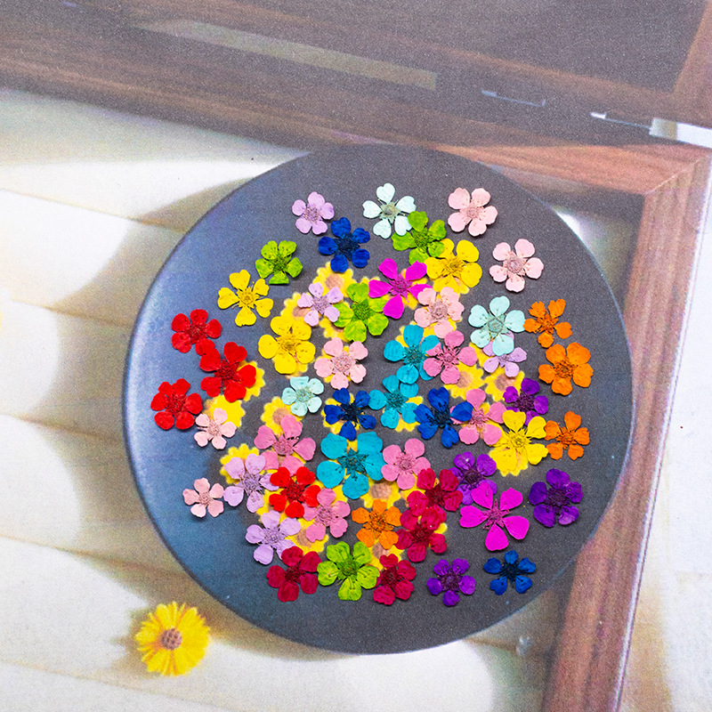 96Pcs Mini 1.5cm Natural Press – обзор и цена Art And Craft Nature