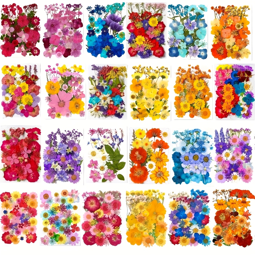500pcs of Random Materials for – обзор и цена Art And Craft Nature