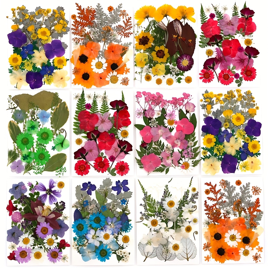 500pcs of Random Materials for – обзор и цена Art And Craft Nature