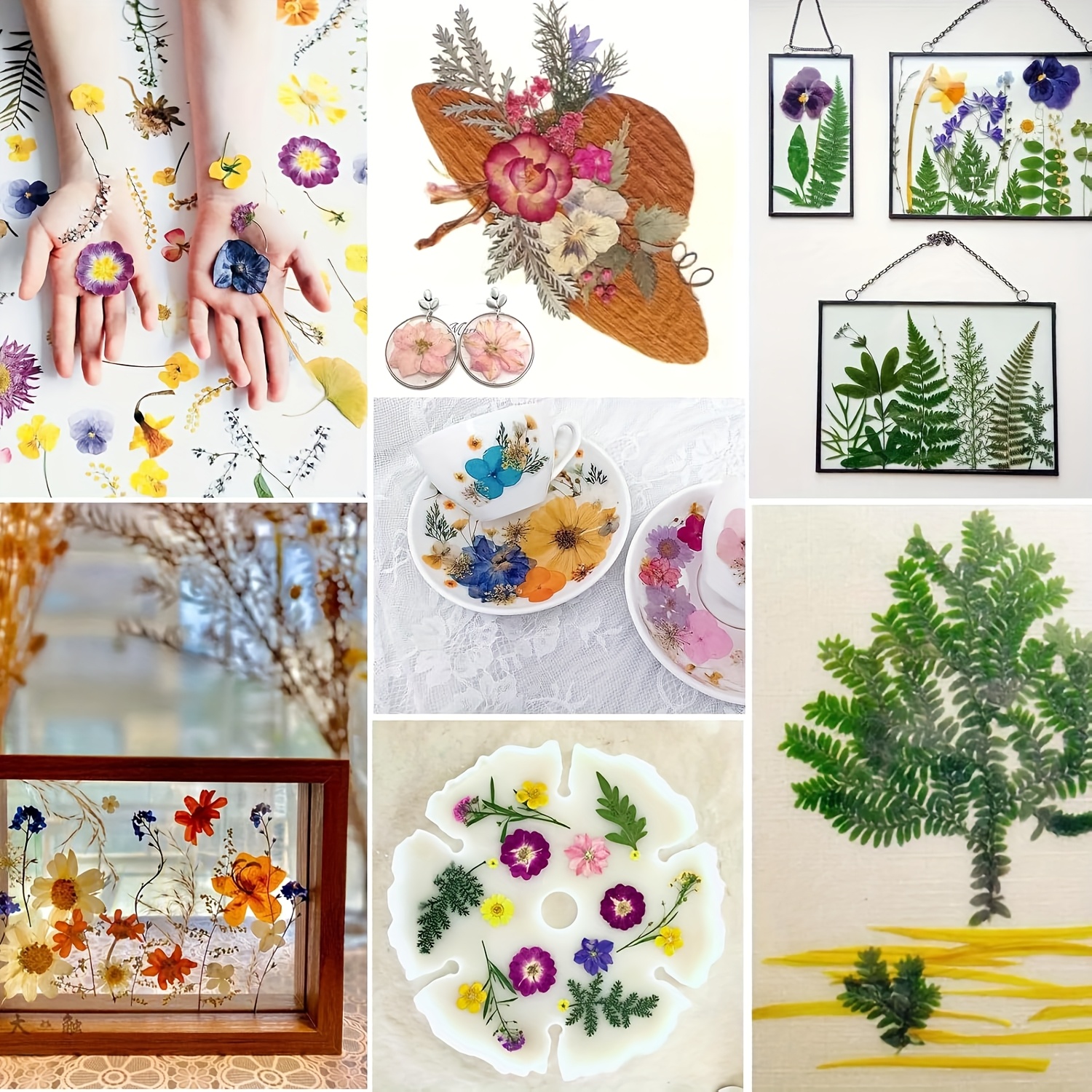500pcs of Random Materials for – обзор и цена Art And Craft Nature