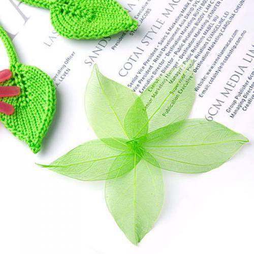 Natural Catbrier Skeleton Leav – обзор и цена Art And Craft Nature