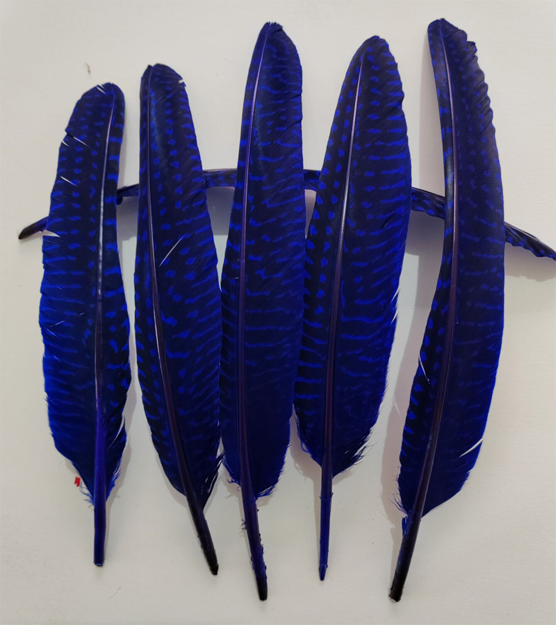 перья!100Pcs/Lot!14-20cm Multi – обзор и цена Art Quilling Craft
